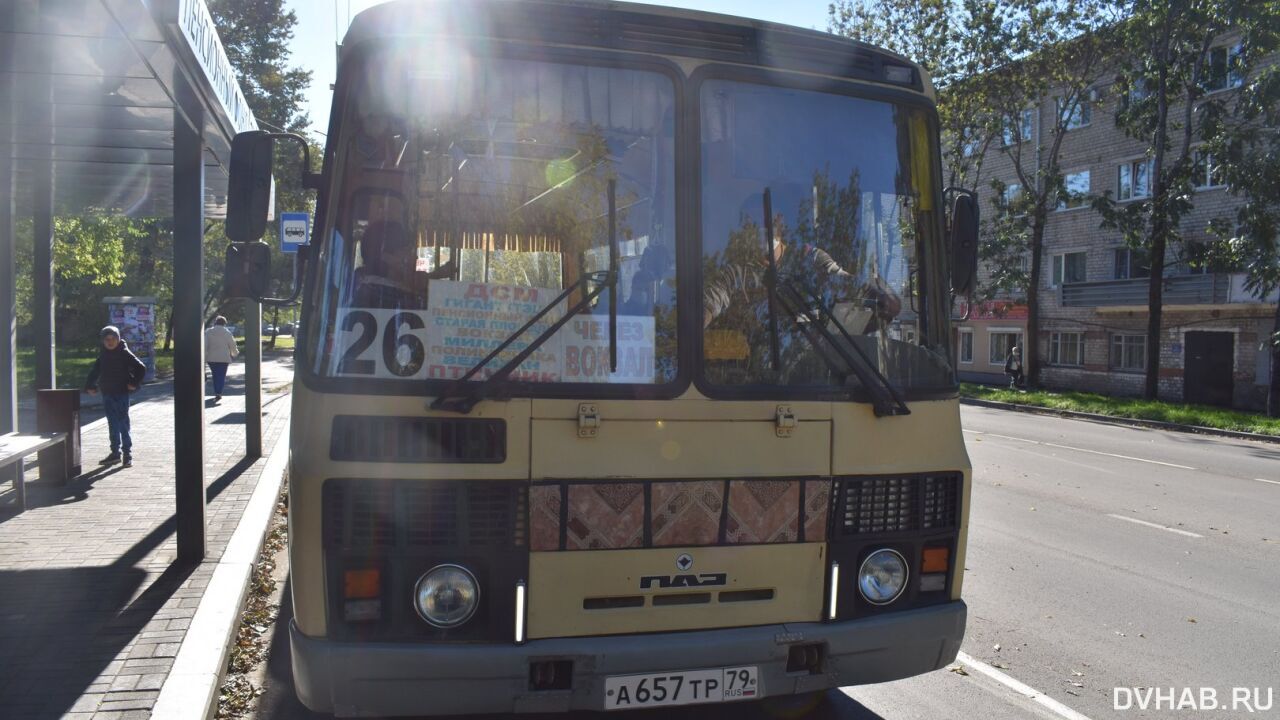 Бесплатно возит отличников водитель автобуса из Биробиджана (ФОТО)