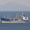 Приставы арестовали судно приморской компании за долг более 8,5 млн рублей