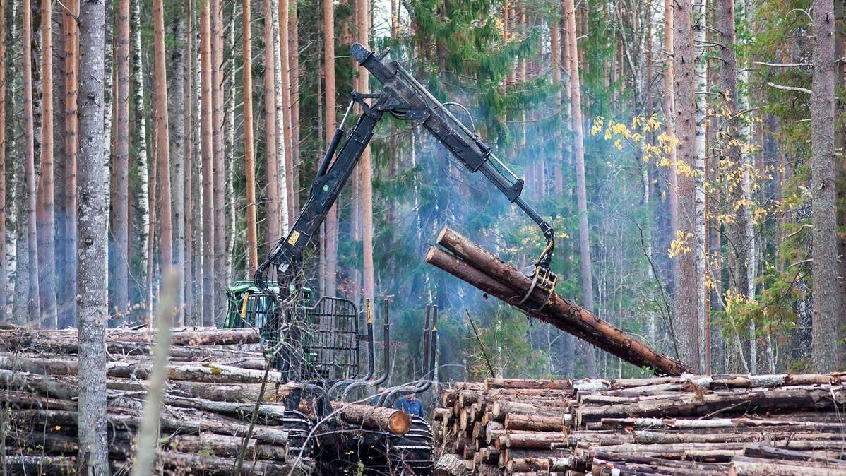 Чем займется новое 