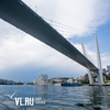 Учёные зафиксировали рекордную концентрацию токсичной водоросли у берегов Владивостока