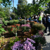 В эту субботу в Ботаническом саду много посетителей — newsvl.ru