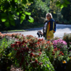 Тёплая осенняя погода располагает к прогулке по Ботаническому саду — newsvl.ru