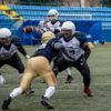 «Северный Легион» vs «Дикие панды» — newsvl.ru