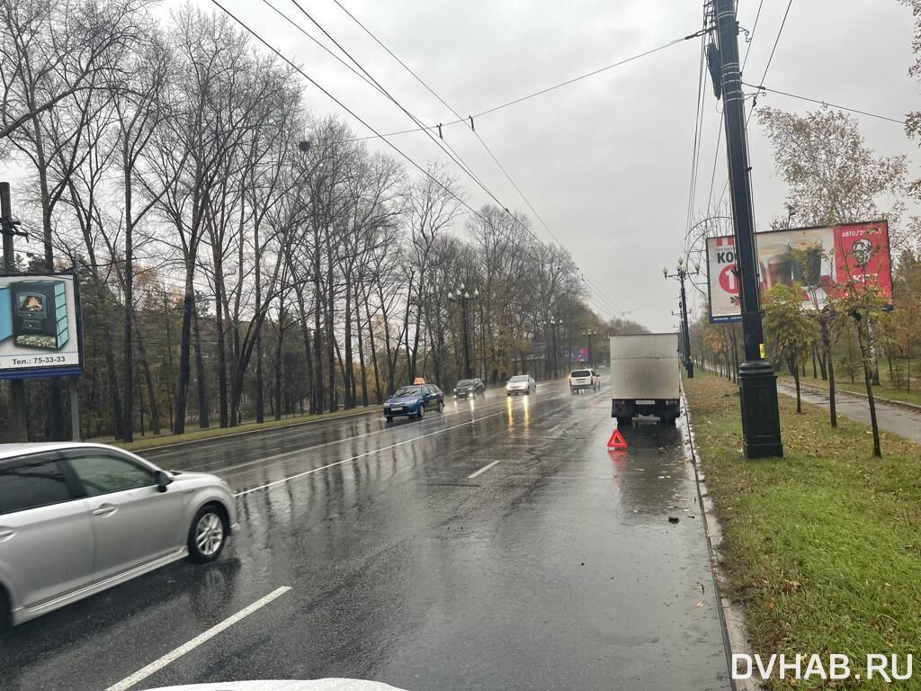 Спиной к движению: раскрыты подробности гибели российского конькобежца  (ФОТО) — Новости Хабаровска