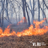 В Приморье резко увеличилось количество лесных и природных пожаров