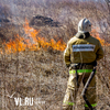 За сутки в Приморье сгорело более 11 га леса