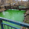 Река Объяснения во Владивостоке окрасилась в зелёный цвет