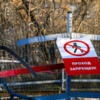Металлическую сетку уже повредили — newsvl.ru