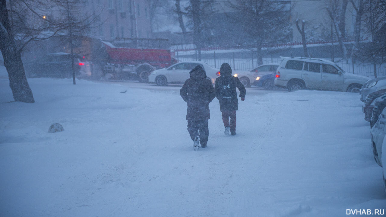 Снегопад и метели придут в Хабаровский край на следующей неделе