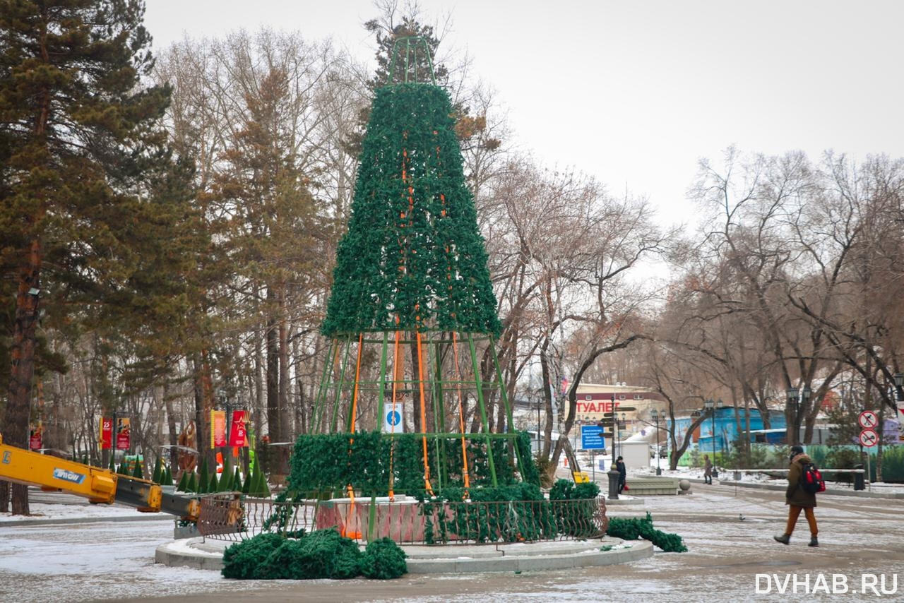 Ели хабаровск