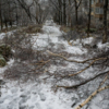 Год назад на Владивосток обрушился ледяной дождь — newsvl.ru