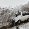 А машины, в свою очередь, пострадали от упавших деревьев — newsvl.ru