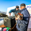 Люди стояли в очередях за горячей едой, кипятком и газовыми баллонами — newsvl.ru