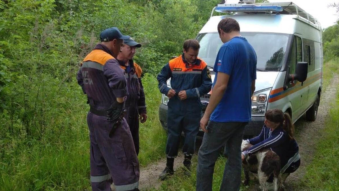 Дезориентированного пенсионера ищут в лесу под Хабаровском — Новости  Хабаровска