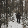  — newsvl.ru