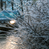 Утром в понедельник, 22 ноября, во Владивостоке сильный дождь превратился в снег — newsvl.ru
