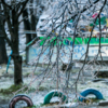 Кажется, что какой-то капризный ребёнок обвёл все ветки деревьев, каждую травинку и куст удивительным ледяным карандашом — newsvl.ru