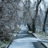 Благодаря ледяному дождю получаются невероятной красоты пейзажи — newsvl.ru