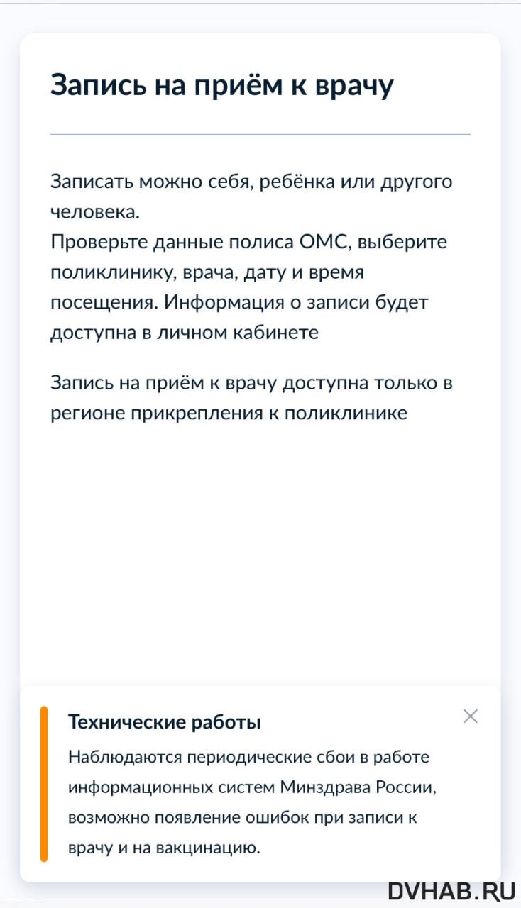 Электронная запись к врачам вновь оказалась недоступной для хабаровчан  (ФОТО) — Новости Хабаровска