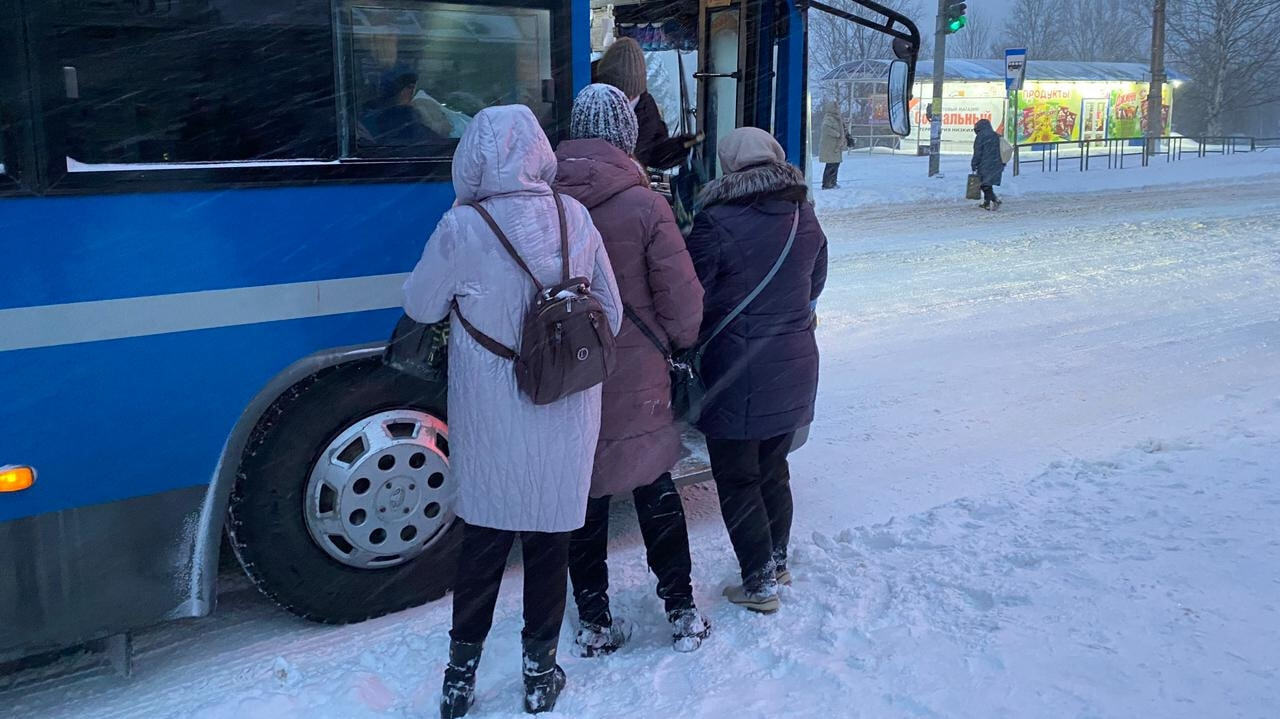 Автобусы отменены: пешком добираются домой жители пригорода Хабаровска —  Новости Хабаровска