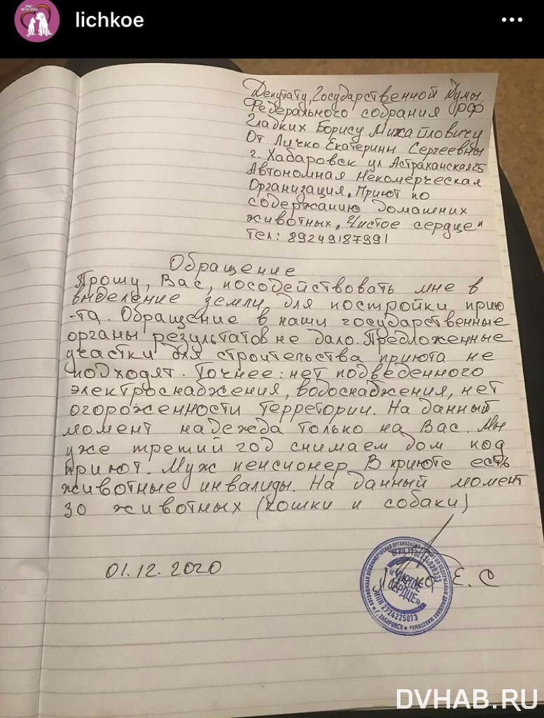 Право на жизнь: животные могут лишиться дома-приюта (ФОТО; ВИДЕО) — Новости  Хабаровска