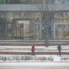 Снег идёт крупными хлопьями — newsvl.ru