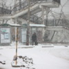 Общественный транспорт ходит по расписанию - больших очередей на автобус на Гоголя нет — newsvl.ru