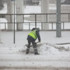 Всего в городе будет работать более 330 дворников — newsvl.ru