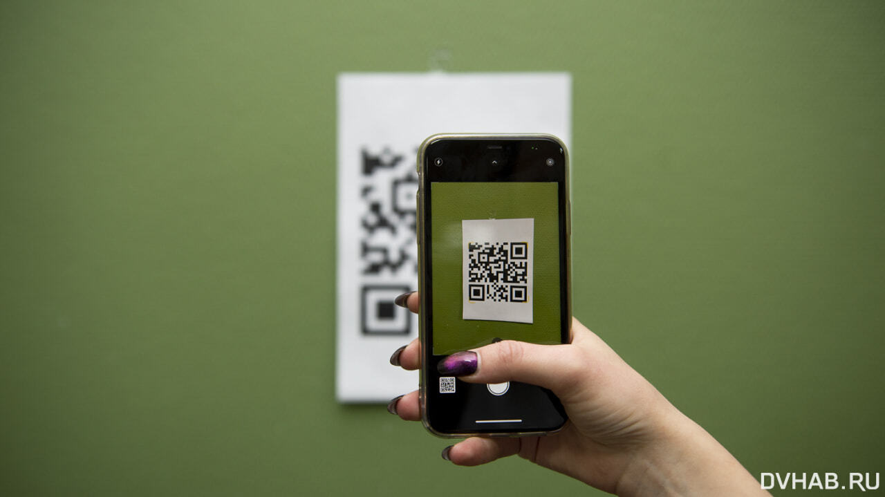 Заботой о невакцинированных объяснил введение QR-кодов хабаровский  омбудсмен — Новости Хабаровска