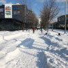 Настоящая зима началась во Владивостоке — newsvl.ru