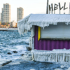 Ледяное покрывало укрыло павильон уличной еды — newsvl.ru