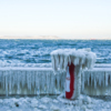 Пообедать у моря можно будет, когда растает лёд — newsvl.ru