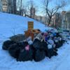 Некрасовская, 96/4. Проезд есть, но мусор не убран. Фото читателей VL.ru — newsvl.ru