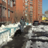 На место прибыла следственно-оперативная группа со служебной собакой Багирой — newsvl.ru