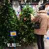 Заснеженные, подвесные и в кашпо: как выбрать искусственную новогоднюю ёлку (ФОТО)