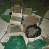 Жительница Артёма хранила 17 килограммов марихуаны для «личного употребления»