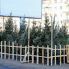 На больших ёлочных базарах должны быть гирлянды и праздничные баннера — newsvl.ru