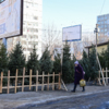 По периметру торговая точка должна быть огорожена забором из деревянных реек — newsvl.ru