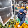 Турецкие мандарины продаются только с разрешённых плантаций — newsvl.ru