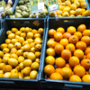 Турецкие мандарины продаются только с разрешённых плантаций — newsvl.ru
