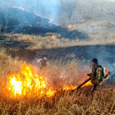 Крупный пожар потушили у границ нацпарка «Земля леопарда» 