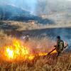 Крупный пожар потушили у границ нацпарка «Земля леопарда» (ФОТО)