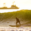 В золотых лучах рассветного солнца владивостокские сёрферы покоряют волны в бухте Патрокл — newsvl.ru