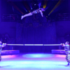 Московский цирк представил представления талантливых акробатов  — newsvl.ru