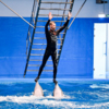 И у дельфинов, и у тренеров есть опыт выступлений — newsvl.ru