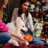 Можно подобрать игрушку, которая подойдёт именно вашему животному — newsvl.ru