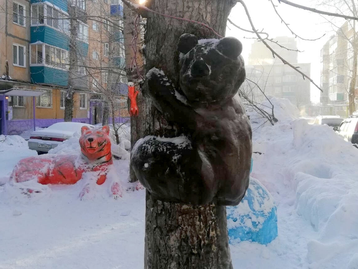 Снежные тигры заполонили Комсомольск-на-Амуре (ФОТО) — Новости Хабаровска