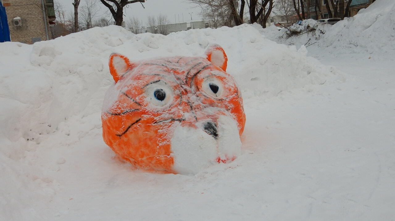 Снежные тигры заполонили Комсомольск-на-Амуре (ФОТО)