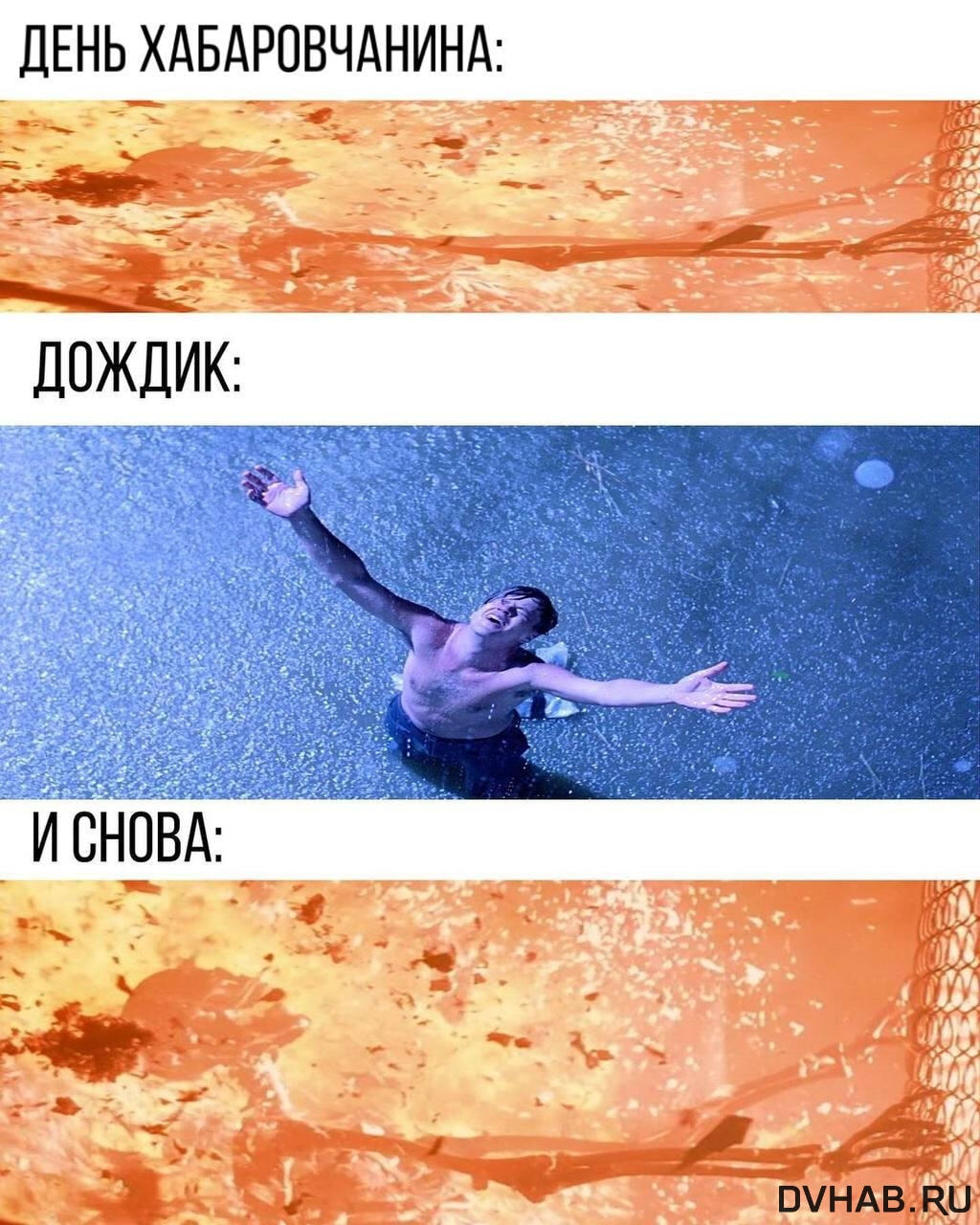 Жители Хабаровского края создали уникальную коллекцию видео
