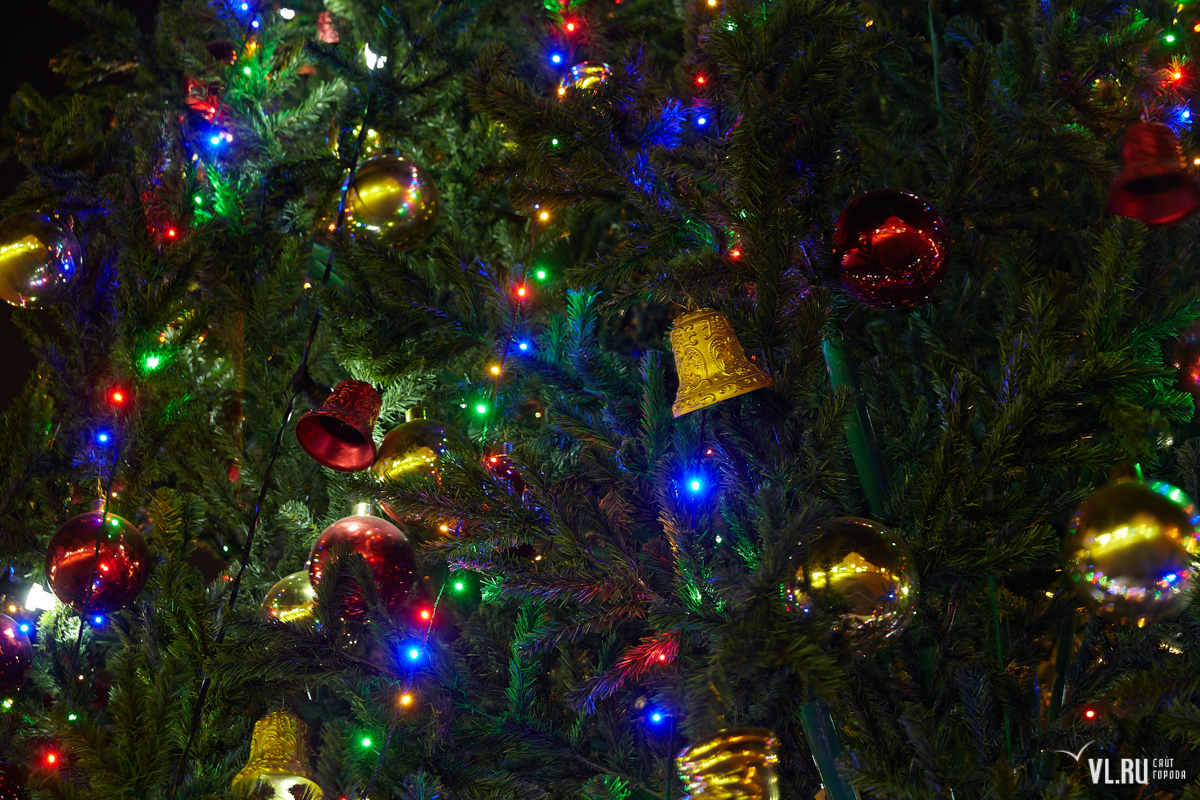 елка с мерцающими огоньками. елка с разноцветной гирляндой. новогодние огоньки. новогодняя елка. елка с синими огоньками.